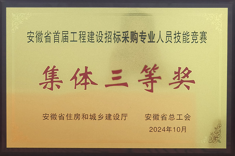 安徽省首届工程建设招标采购专业人员技能竞赛集体三等奖.jpg